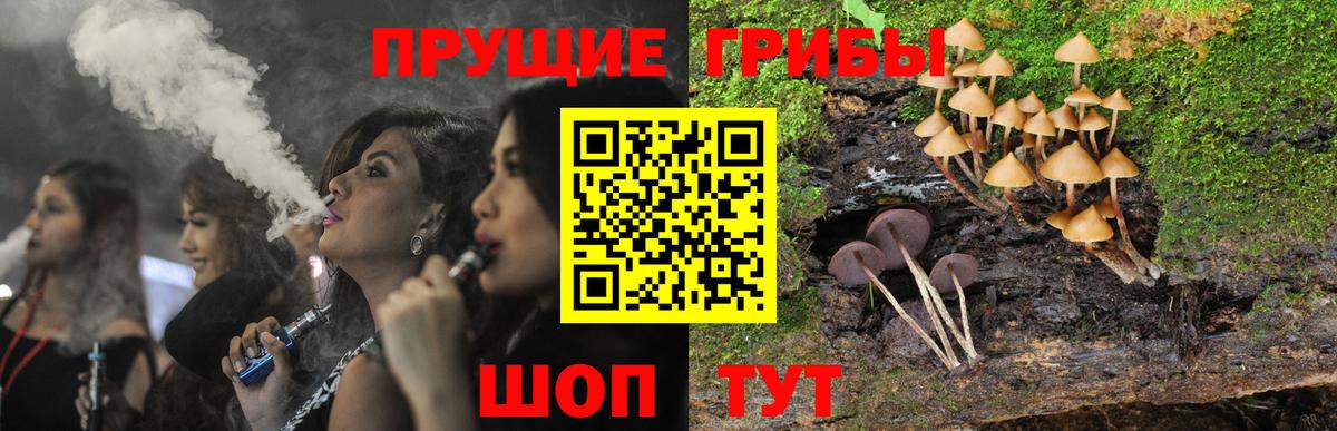 Галлюциногенные грибы Cubensis  наркота  Старая Купавна  Псилоцибиновые грибы прущие грибы  Вход с VPN 